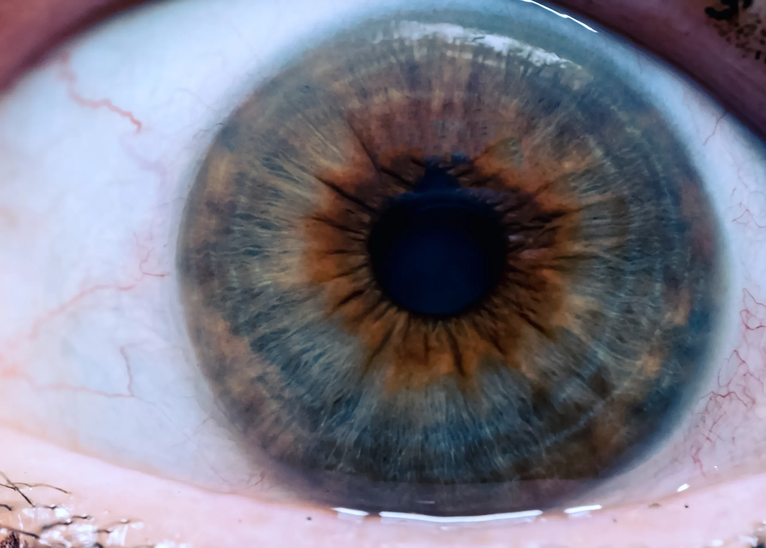 close up human eye scaled