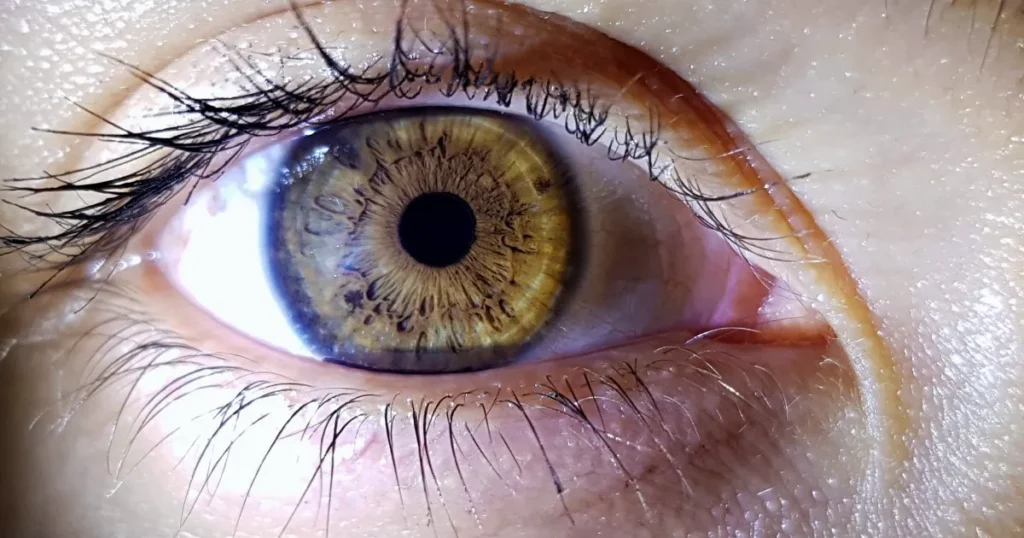 Naučnici otkrili dvije nove strukture u rožnjači ljudskog oka